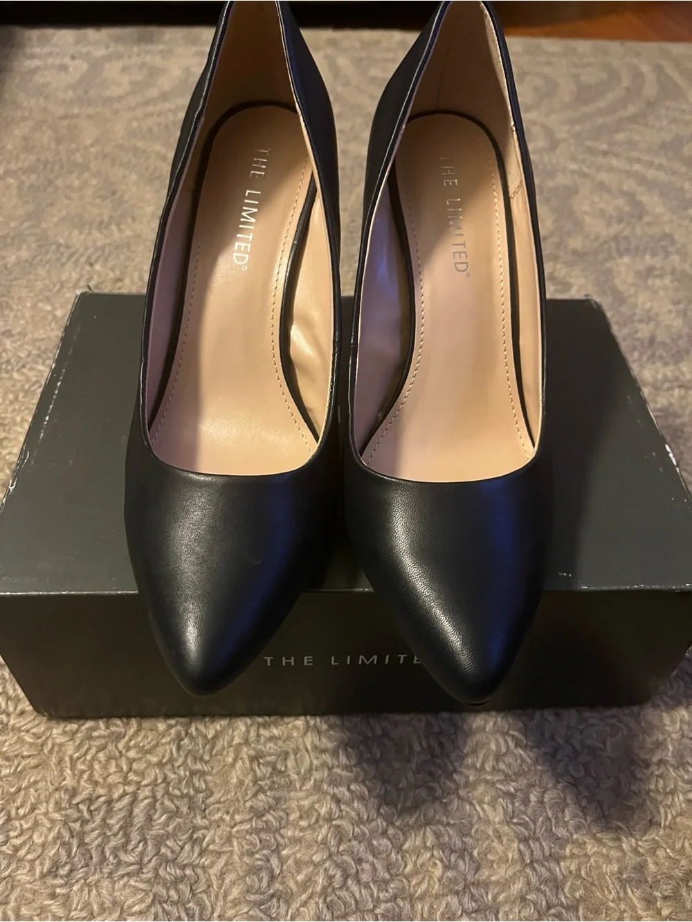 The Limited Women’s Navy Pointed-Toe Pumps